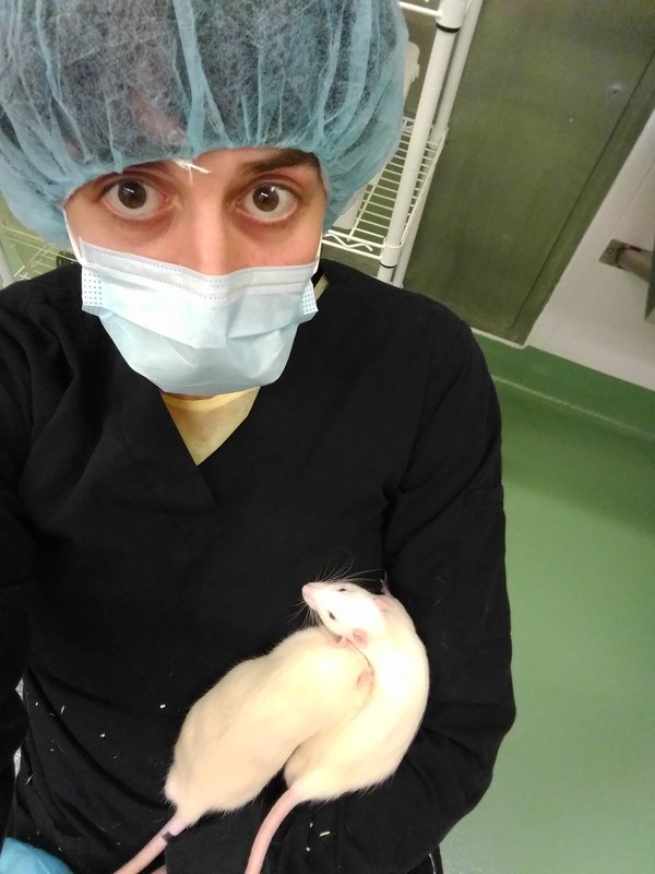 Gregory S. Fitzgerald doing preclinical rat research